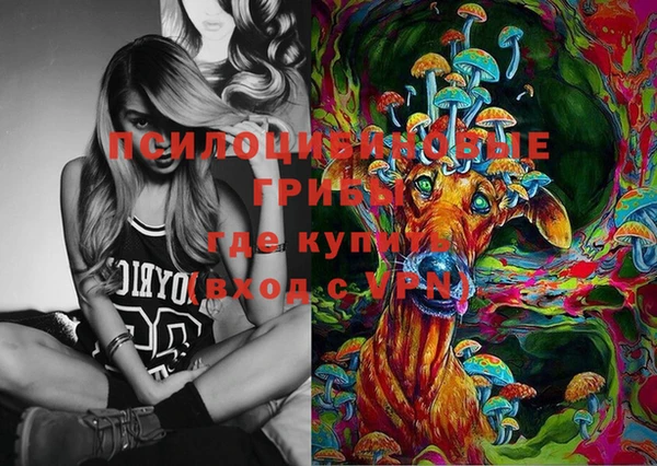 стаф Балахна