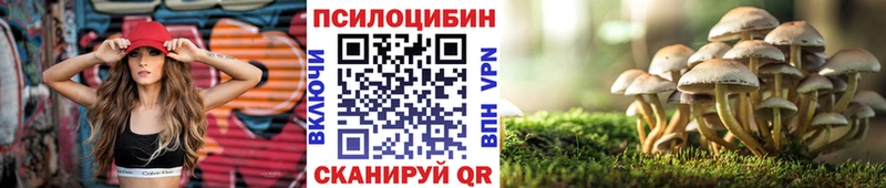 купить наркоту  Омск  Галлюциногенные грибы Psilocybe 